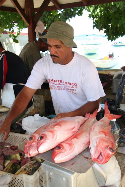 Le marché aux poissons des Saintes
